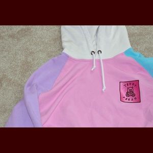 Teddy Fresh Colorblock Hoodie